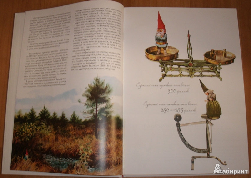 Иллюстрация 50 из 63 для Энциклопедия гномов - Вил Хёйген | Лабиринт - книги. Источник: Ёжик