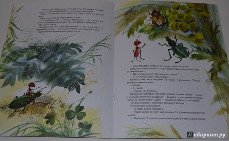 Иллюстрация 30 из 33 для Как муравьишка домой спешил - Виталий Бианки | Лабиринт - книги. Источник: leontyua