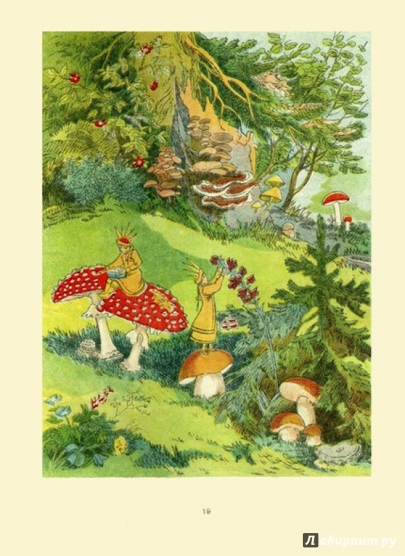 Иллюстрация 7 из 43 для Зой и Зоя - Виталий Бианки | Лабиринт - книги. Источник: gaduka1984