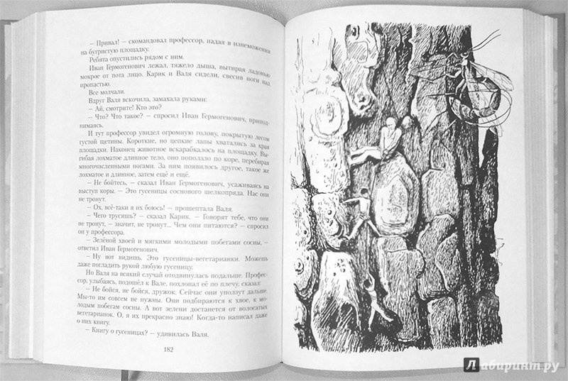 Иллюстрация 47 из 101 для Необыкновенные приключения Карика и Вали - Ян Ларри | Лабиринт - книги. Источник: polaris