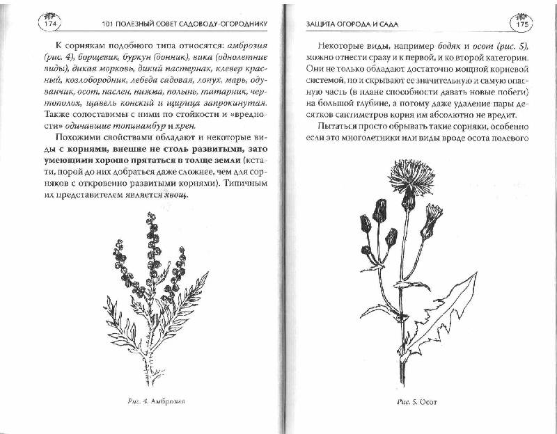 Иллюстрация 16 из 31 для 101 полезный совет садоводу-огороднику - Мария Цветкова | Лабиринт - книги. Источник: Юта