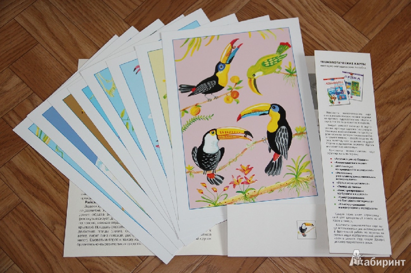 Иллюстрация 19 из 21 для Заморские птицы (рисование красками) - Ирина Лыкова | Лабиринт - книги. Источник: Vilvarin  Laurea