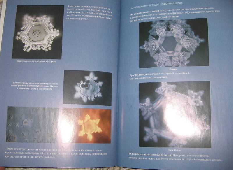Иллюстрация 7 из 8 для Послания воды: Тайные коды кристаллов льда - Масару Эмото | Лабиринт - книги. Источник: Читательница