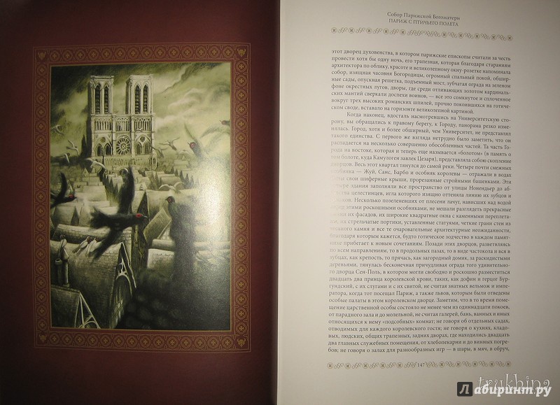 Иллюстрация 73 из 97 для Собор Парижской Богоматери - Виктор Гюго | Лабиринт - книги. Источник: Трухина Ирина