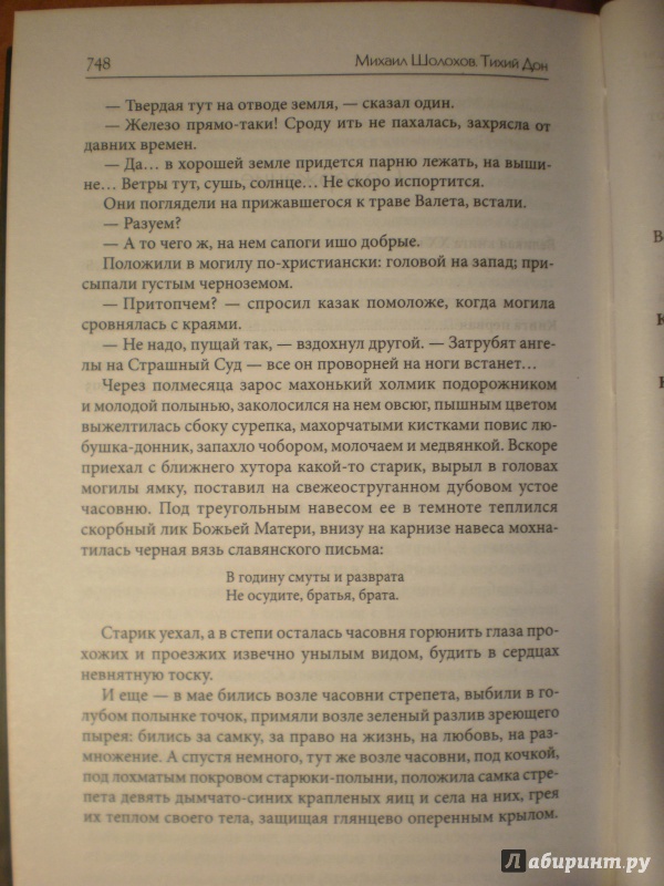 Иллюстрация 27 из 32 для Тихий Дон. Роман в 2 томах. Том 1 (Книги 1 - 2) - Михаил Шолохов | Лабиринт - книги. Источник: Nanced Lovett