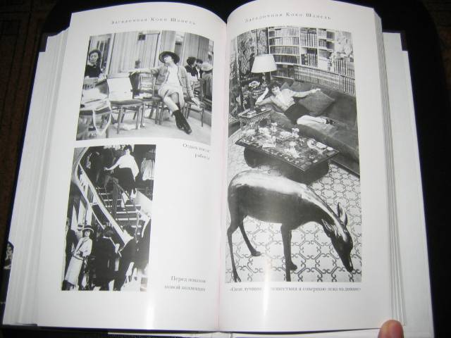 Иллюстрация 19 из 28 для Загадочная Коко Шанель - Марсель Эдрих | Лабиринт - книги. Источник: Мама Ольга