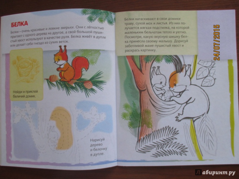 Иллюстрация 3 из 31 для Домики животных | Лабиринт - книги. Источник: Марина Епифанцева