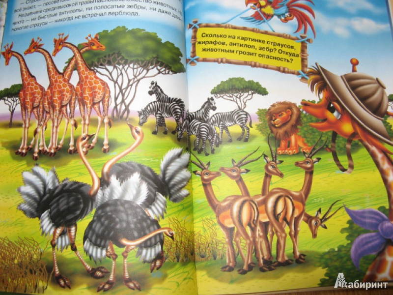 Иллюстрация 6 из 23 для Приключения Жирафчика и его друзей - Синичкин, Конфеткина | Лабиринт - книги. Источник: Лунный кот