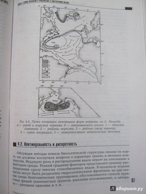Иллюстрация 9 из 28 для Биогеография океана. Учебник - Кирилл Петров | Лабиринт - книги. Источник: Евгения39
