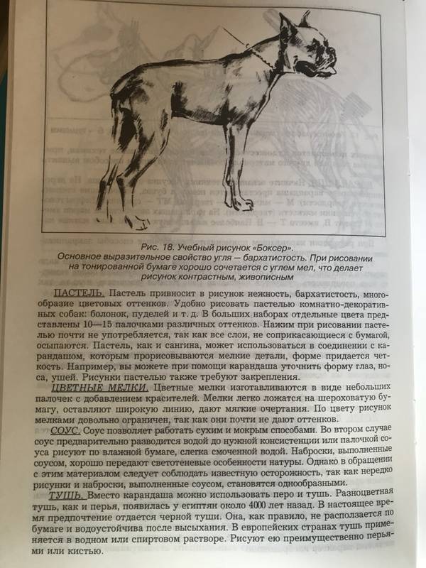Иллюстрация 6 из 9 для Рисуем собаку - Маланов, Конев | Лабиринт - книги. Источник: Лыкова  Ольга