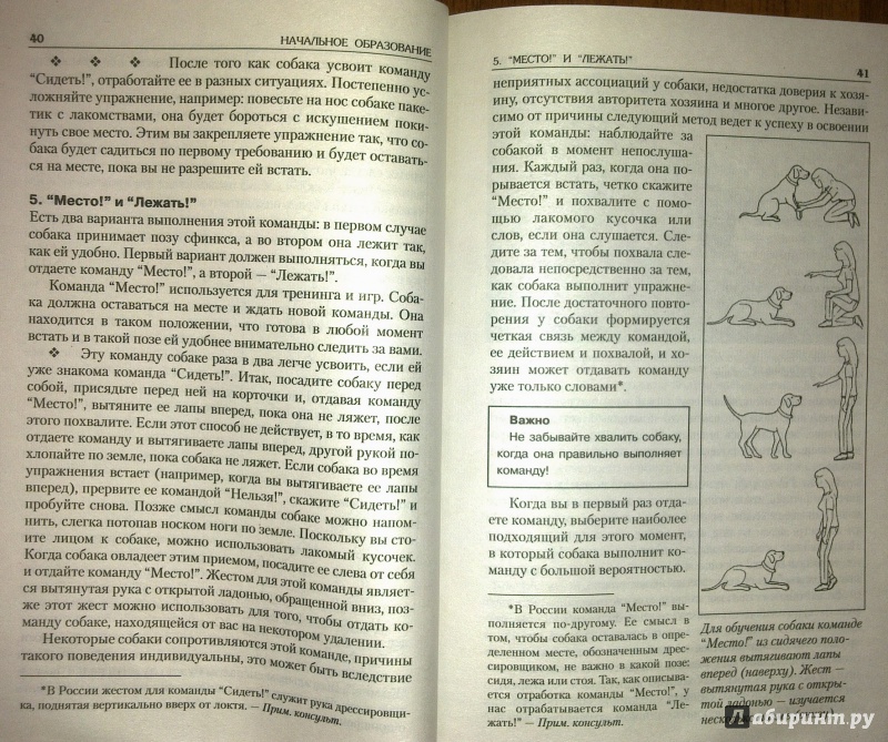 Иллюстрация 11 из 14 для 100 игр и упражнений для вашей собаки - Амо Дель | Лабиринт - книги. Источник: Татьяна Г.