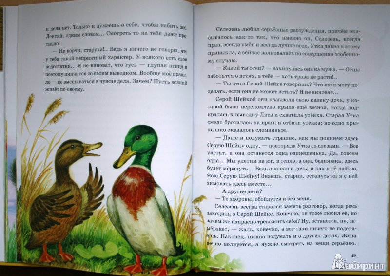 Иллюстрация 25 из 51 для Лягушка-путешественница | Лабиринт - книги. Источник: ОксанаШ