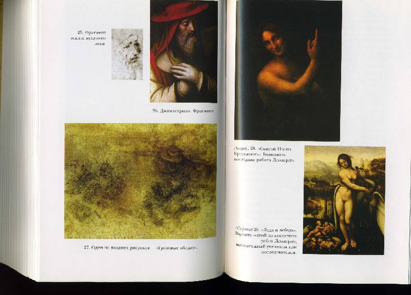 Иллюстрация 1 из 2 для Леонардо да Винчи. Полет разума - Чарльз Николл | Лабиринт - книги. Источник: Panterra