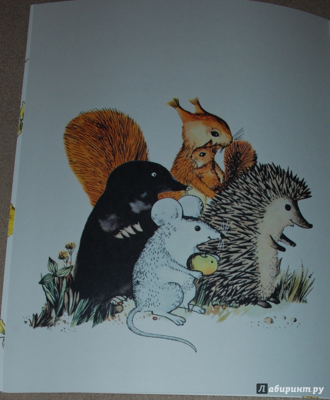 Иллюстрация 22 из 50 для Галоша - Михаил Пляцковский | Лабиринт - книги. Источник: Книжный кот