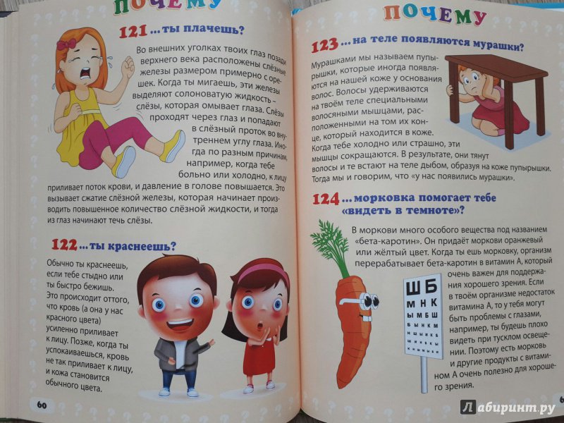 Иллюстрация 13 из 16 для Почему люди не летают? Простые ответы на детские вопросы - Тамара Скиба | Лабиринт - книги. Источник: Dashylka