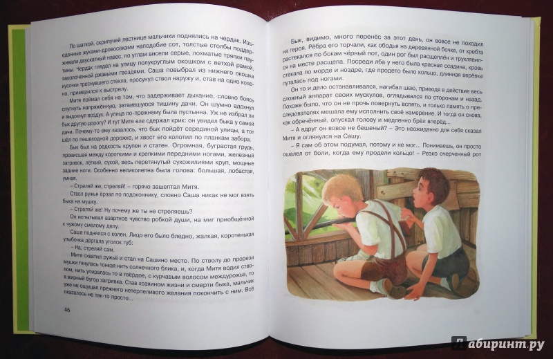 Иллюстрация 28 из 38 для Рассказы для детей - Юрий Нагибин | Лабиринт - книги. Источник: nata_romina