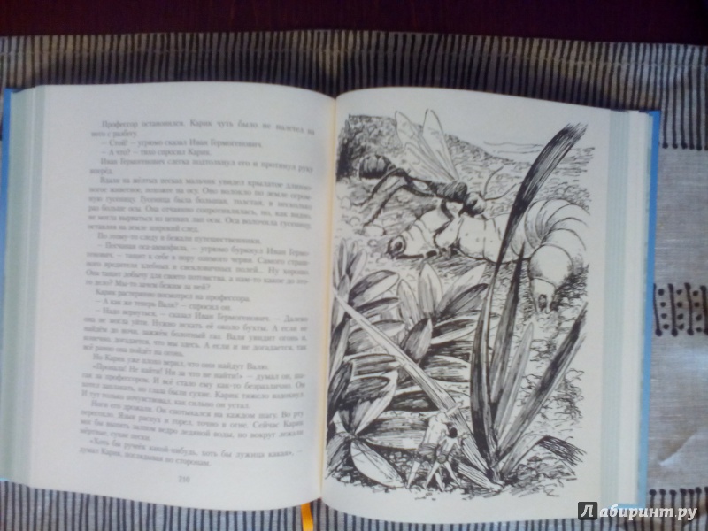 Иллюстрация 32 из 101 для Необыкновенные приключения Карика и Вали - Ян Ларри | Лабиринт - книги. Источник: Катерина М