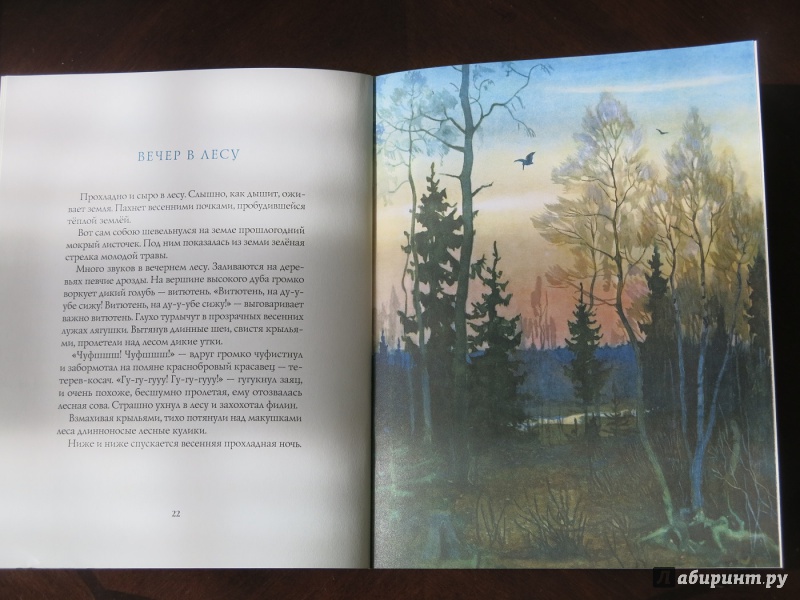 Иллюстрация 35 из 35 для Весна в лесу - Иван Соколов-Микитов | Лабиринт - книги. Источник: anschaffen