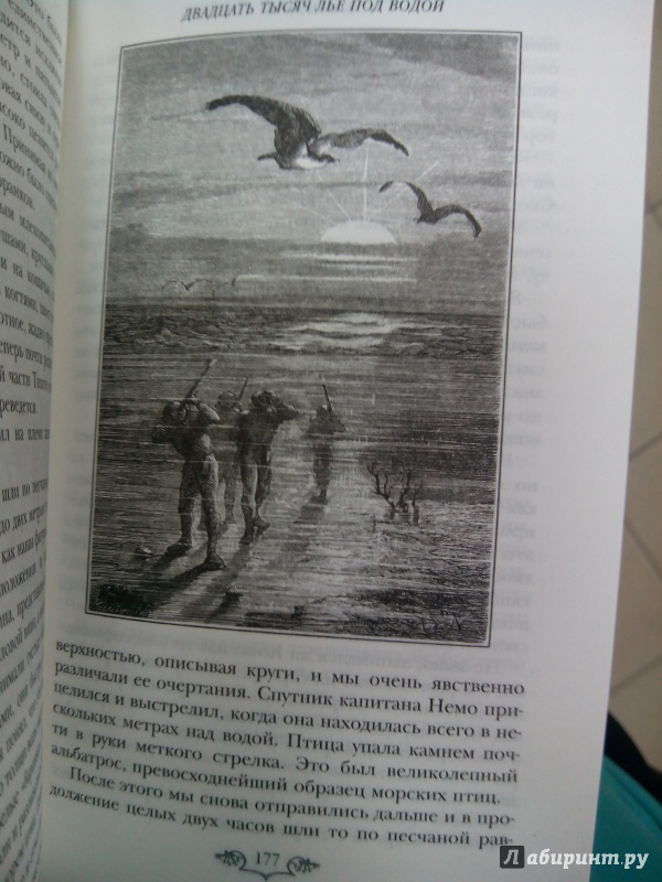 Иллюстрация 21 из 40 для Двадцать тысяч лье под водой - Жюль Верн | Лабиринт - книги. Источник: zabluTshaya