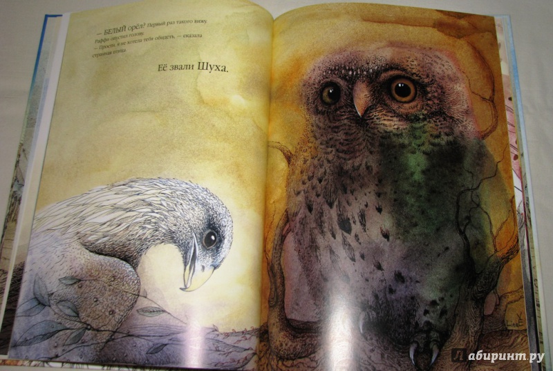 Иллюстрация 34 из 39 для Раффи, белоснежный орёл - Рэйнвиль, Джеминиани | Лабиринт - книги. Источник: Бог в помощь