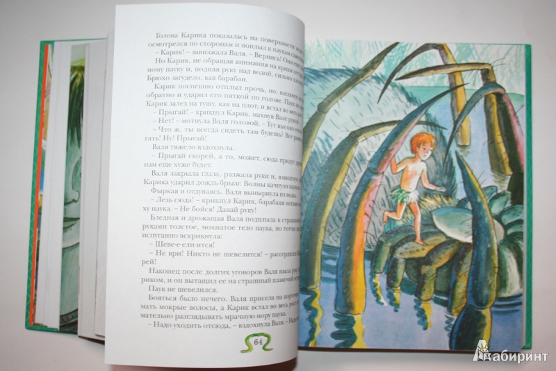 Иллюстрация 14 из 86 для Необыкновенные приключения Карика и Вали - Ян Ларри | Лабиринт - книги. Источник: Попова  Анна