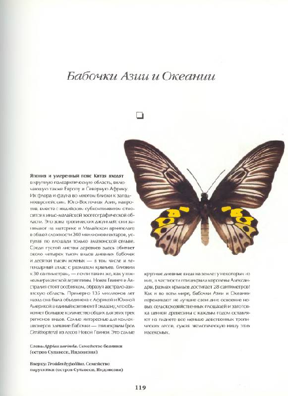 Иллюстрация 11 из 12 для Бабочки мира. Издание 2-е, стереотипное - Ален Эд | Лабиринт - книги. Источник: Анна Викторовна