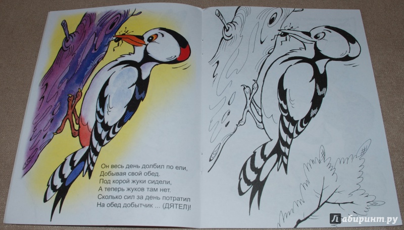 Иллюстрация 15 из 20 для Птичий обед - Юрий Чичев | Лабиринт - книги. Источник: Книжный кот