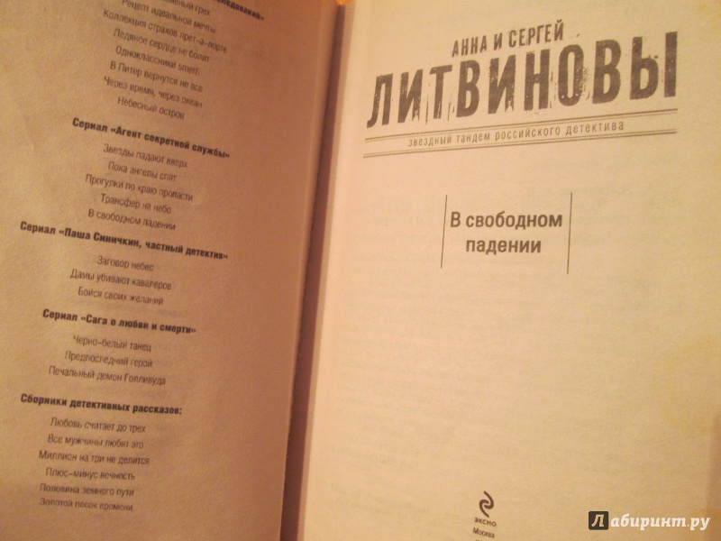 Иллюстрация 12 из 23 для В свободном падении - Литвинова, Литвинов | Лабиринт - книги. Источник: NiNon