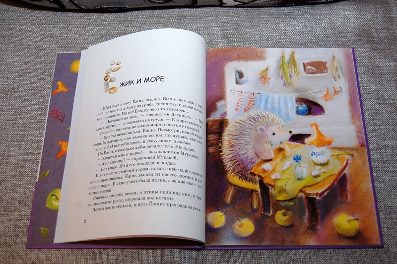 Иллюстрация 5 из 42 для Ежик в тумане - Сергей Козлов | Лабиринт - книги. Источник: t_tarakanka