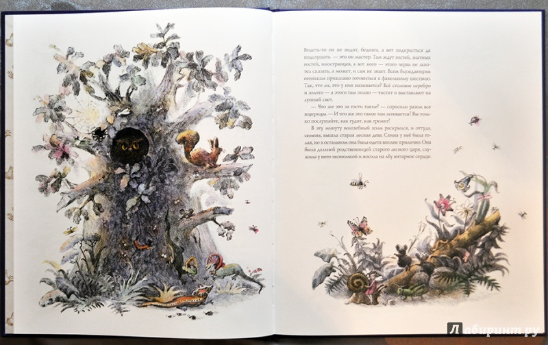 Иллюстрация 63 из 88 для Волшебный холм - Ганс Андерсен | Лабиринт - книги. Источник: Раскова  Юлия