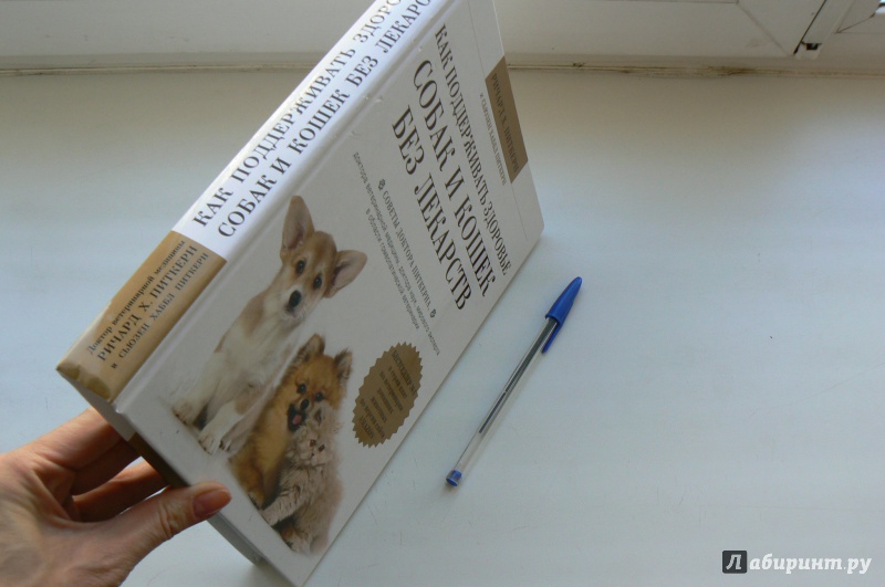 Иллюстрация 15 из 18 для Как поддерживать здоровье собак и кошек без лекарств - Питкерн, Питкерн | Лабиринт - книги. Источник: Марина