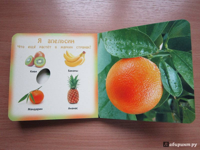 Иллюстрация 12 из 12 для Овощи и фрукты - Анна Прищеп | Лабиринт - книги. Источник: Кулыгина  Елена
