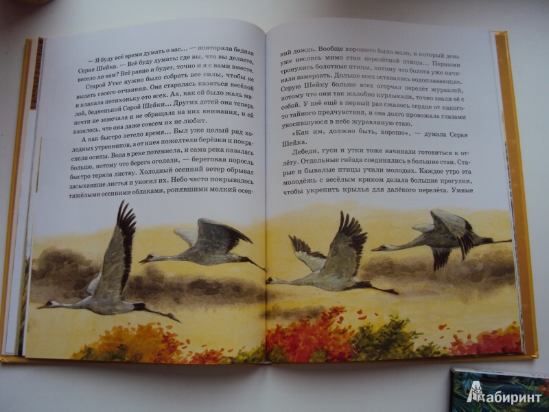 Иллюстрация 44 из 51 для Лягушка-путешественница | Лабиринт - книги. Источник: л.и.