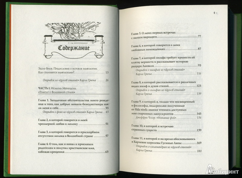 Иллюстрация 5 из 26 для Трактат о Волшебной стране Исмаэля Мериндоля, дополненное другими известными трудами - Исмаэль Мериндоль | Лабиринт - книги. Источник: * Ольга *