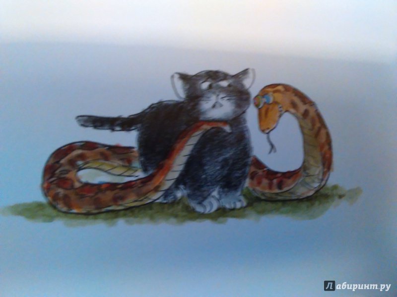 Иллюстрация 33 из 60 для Кот Крамер идет в лес - Меир Шалев | Лабиринт - книги. Источник: Ольга