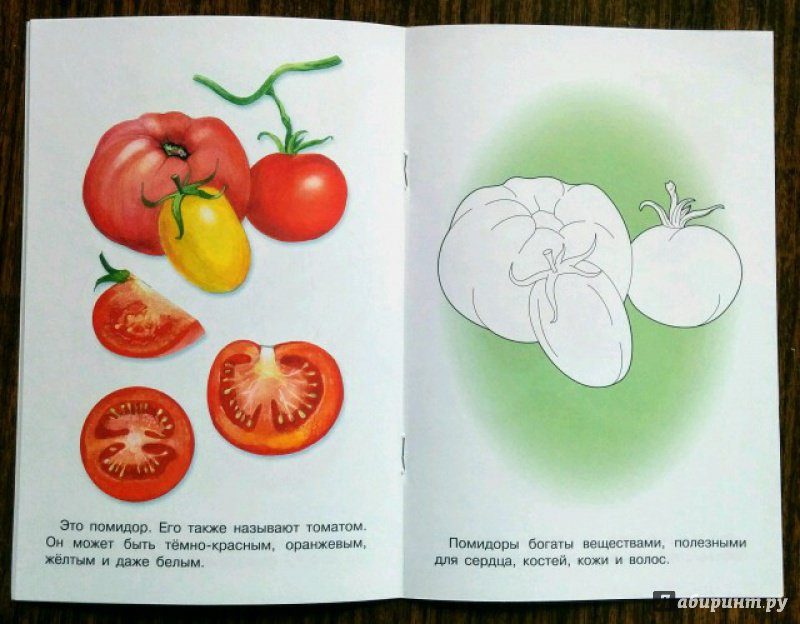 Иллюстрация 9 из 18 для Раскраска. Раскрашиваем и учимся. Овощи | Лабиринт - книги. Источник: Natalie Leigh