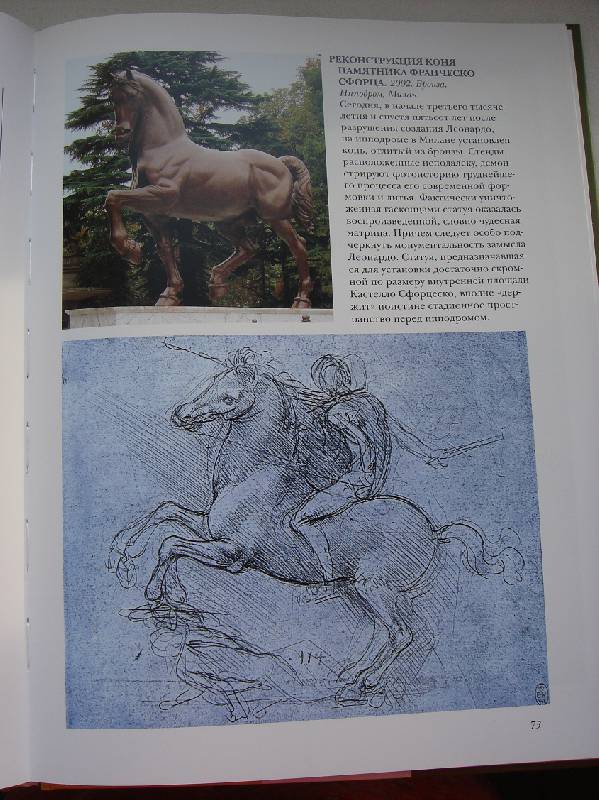Иллюстрация 6 из 24 для Леонардо - Нина Геташвили | Лабиринт - книги. Источник: С. Ната Ю.