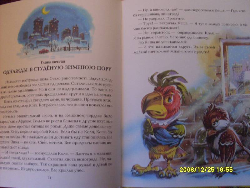 Иллюстрация 1 из 55 для Приключения блудного попугая | Лабиринт - книги. Источник: Марта