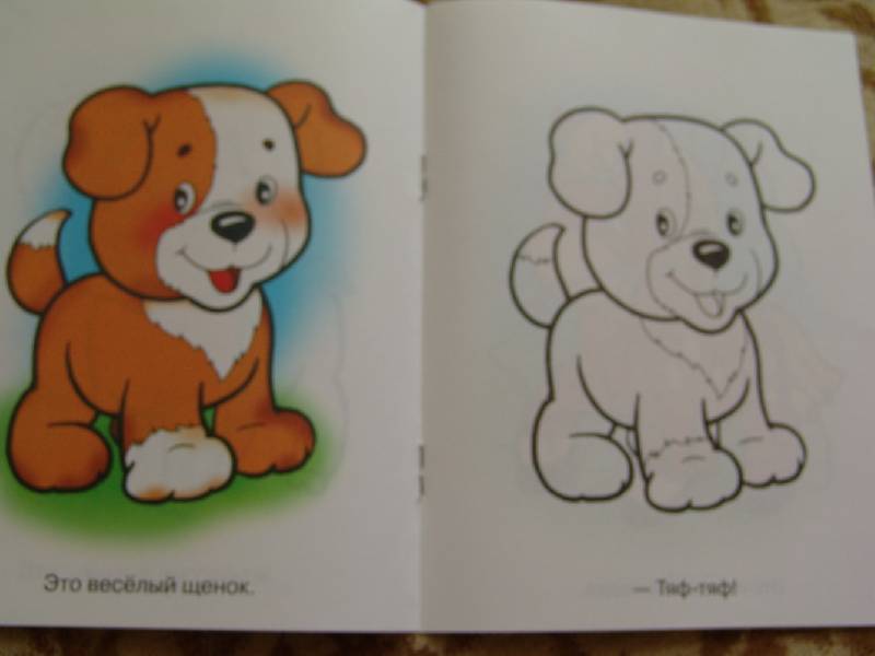 Иллюстрация 4 из 5 для Домашние животные. Кисонька-мурысенька | Лабиринт - книги. Источник: Лаванда