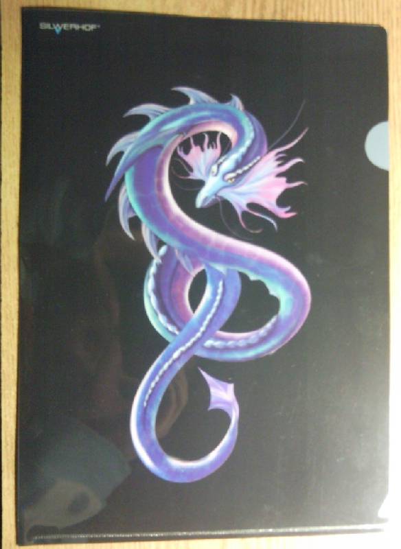 Иллюстрация 1 из 5 для Папка-уголок (плотная) "Dragons" (211010-12) | Лабиринт - канцтовы. Источник: Chris