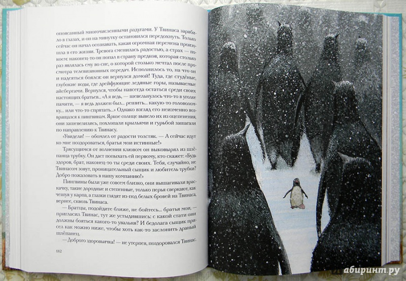 Иллюстрация 21 из 57 для Путешествие на Тандадрику - Витауте Жилинскайте | Лабиринт - книги. Источник: Раскова  Юлия