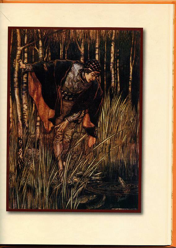 Иллюстрация 15 из 35 для Сказки - Гримм Якоб и Вильгельм | Лабиринт - книги. Источник: Julykus
