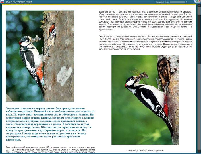 Иллюстрация 3 из 7 для Животный и растительный мир России (CDpc) | Лабиринт - . Источник: Кнопа2