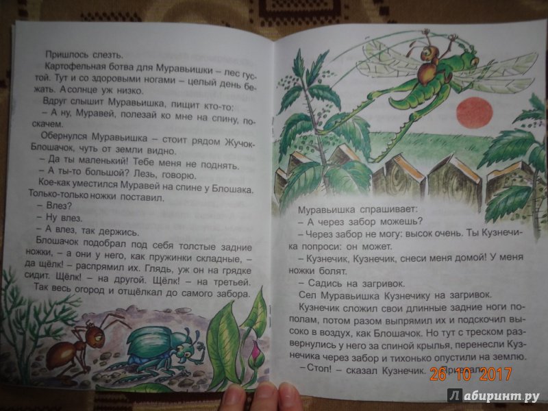 Иллюстрация 16 из 20 для Как муравьишка домой спешил - Виталий Бианки | Лабиринт - книги. Источник: Nюша