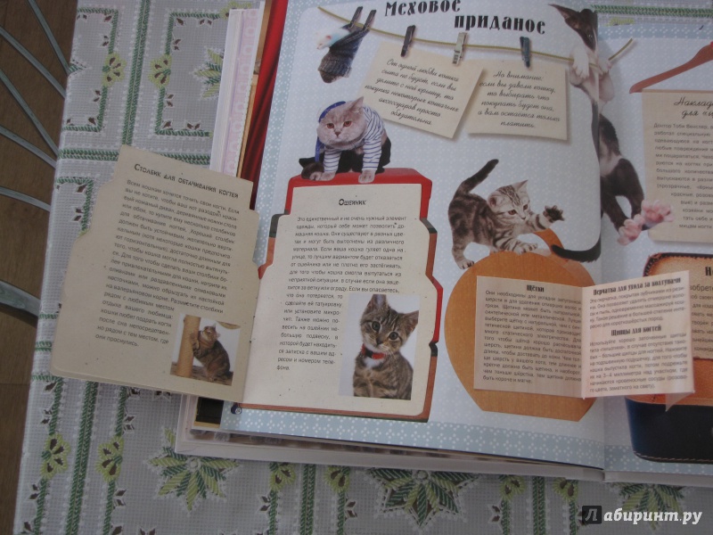 Иллюстрация 19 из 40 для Кошки. Подарок для всех, кто влюблен в кошек - Жан Кювелье | Лабиринт - книги. Источник: Nalyc