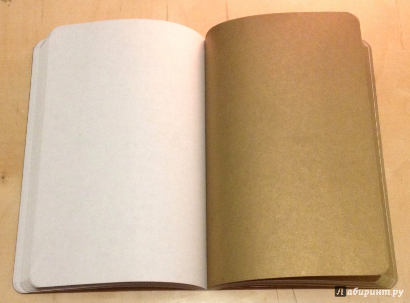 Иллюстрация 6 из 6 для Gold Note. Креативный блокнот с золотыми страницами | Лабиринт - книги. Источник: Лабиринт