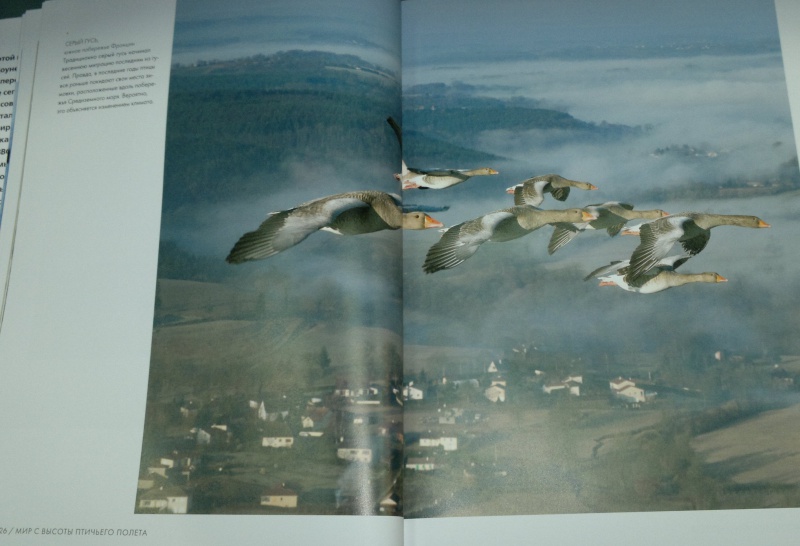 Иллюстрация 11 из 45 для Мир с высоты птичьего полета - Джон Доунер | Лабиринт - книги. Источник: Леонид Сергеев