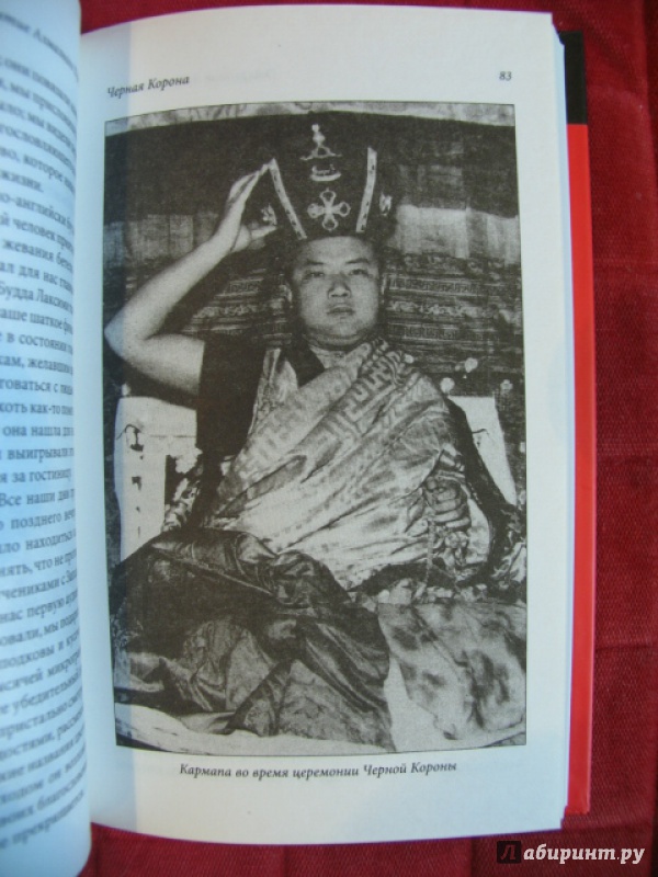 Иллюстрация 15 из 19 для Открытие Алмазного Пути: Тибетский буддизм встречается с Западом - Лама Нидал | Лабиринт - книги. Источник: manuna007