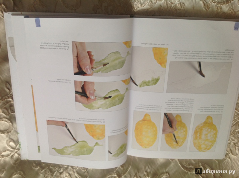 Иллюстрация 39 из 72 для Портреты овощей и фруктов. Практическое руководство по рисованию акварелью - Билли Шоуэлл | Лабиринт - книги. Источник: ovcho
