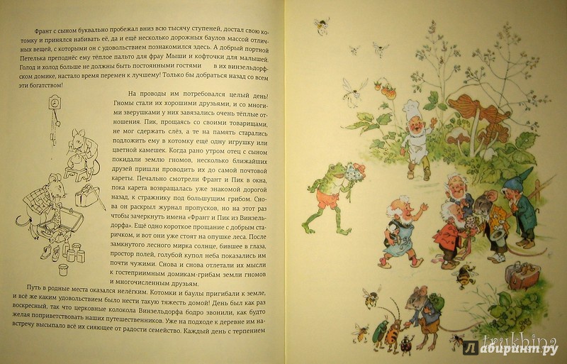 Иллюстрация 56 из 78 для В стране гномов - Эрих Хайнеманн | Лабиринт - книги. Источник: Трухина Ирина